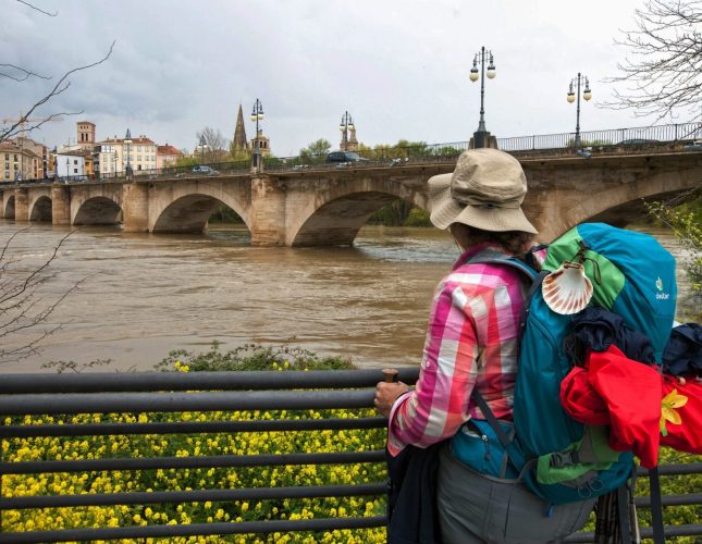 El río Ebro a su paso por La Rioja ha empezado desde la mañana de hoy a descender de caudal sin causar grandes daños